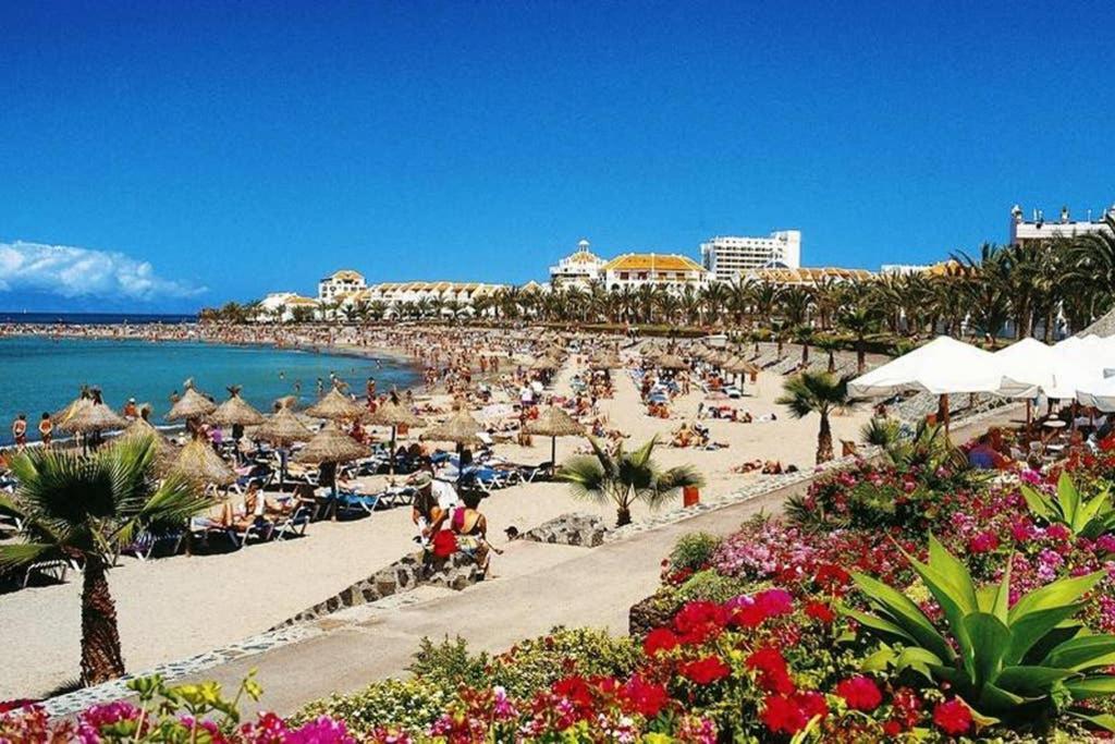 Nice Studio Bart 50 Meters From Playa Las Vistas アロナ エクステリア 写真